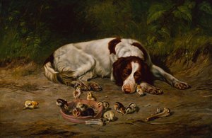 Brave hond