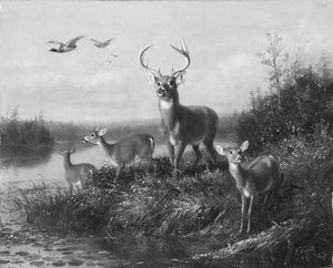 Op de Qui Vive, Bok en Drie Hinden, 1871
