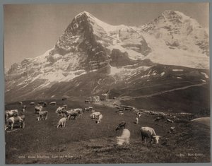 Koeien op de Kleine Scheidegg in het Berner Oberland, op de achtergrond de Eiger en de Mönch (detail) door Arthur Gabler