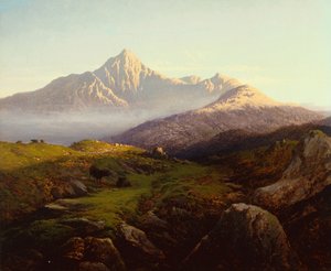 Hooglandvee in een Bergachtig Landschap