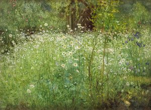 Oxeeye Madeliefjes en Irissen, 1920 door Arthur Hacker