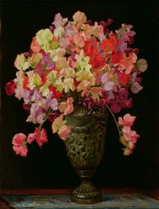 Lathyrus, Zomerfeest, 1930