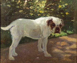 Een Bulldog op een Tuinpad
