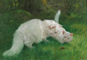 Arthur Heyer Interessante ontdekking in 1923 door Arthur Heyer