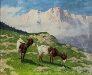 Arthur Heyer geiten in een berglandschap
