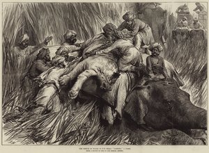 De Prins van Wales in de Terai, Een Tijger Vangen door Arthur Hopkins