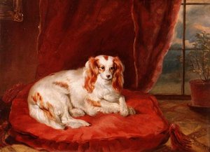 Een Cavalier King Charles Spaniël liggend op een rood kussen door Arthur J. Stark