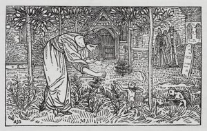 Hans Christian Andersen: De Wilde Zwanen