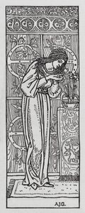 Hans Christian Andersen: Duimelijntje