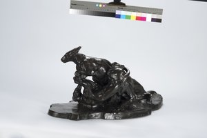 Kangoeroe en hond