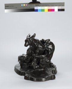 Kangoeroe en Hond
