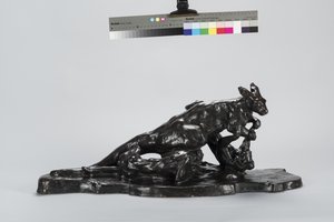 Kangoeroe en hond