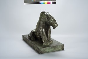 Puma op wacht