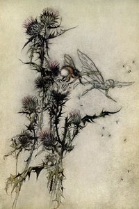 Een Midzomernachtsdroom door Arthur Rackham