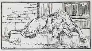 Illustratie van een hond uit Oude Sultan