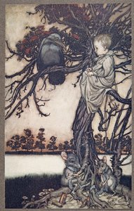 Legde zijn vreemde geval voor aan Oude Solomon Caw, uit Peter Pan in Kensington Gardens door J M Barrie (1860 - 1937), pub. 1906 door Arthur Rackham