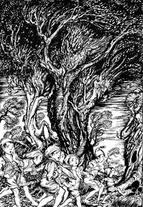 Het sprookjesboek van Arthur Rackham door Arthur Rackham