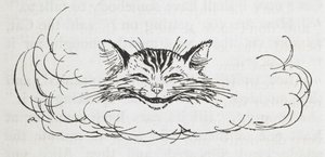 De Cheshire Cat