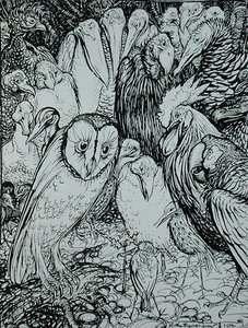 De Uil en de Vogels, illustratie uit 