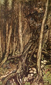 Undine door Friedrich de la Motte Fouqué door Arthur Rackham