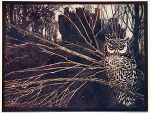 Of een schreeuwuil, uit De Sprookjes van de Gebroeders Grimm, pub. 1909 door Arthur Rackham