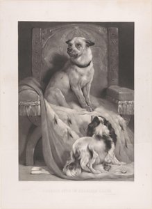 Hond op een hermelijnen mantel op een troon door Arthur Turrell