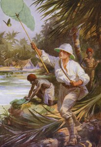 Mooie vlinders: Een verzamelaar aan het werk in Nieuw-Guinea