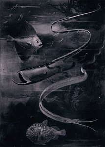 Diepzeevis (litho) door Arthur Twidle