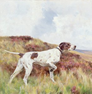 Een Pointer