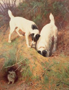 Is er Iemand Thuis? door Arthur Wardle