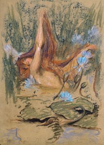 Nymphea, ca. 1890 (pastel, potlood & aquarel op papier) door Arthur Wardle
