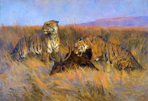 Tijgers bij een prooi door Arthur Wardle