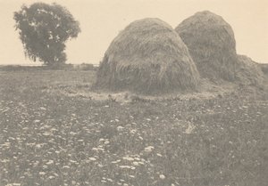 Hooibergen, Ipswich