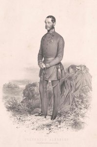 Aartshertog van Oostenrijk (1817-1895) Albrecht door Artist Unknown