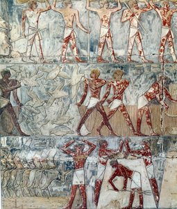 Kunst Egypte: landbouwscène, 6e dynastie door Artist Unknown