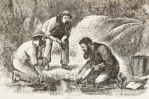 Australië (1880). Het leven van de goudzoekers in Botany Bay (gesticht in 1788). Gravure. Privécollectie door Artist Unknown