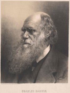 Charles Darwin door Artist Unknown