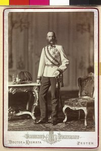 Franz Joseph I door Artist Unknown