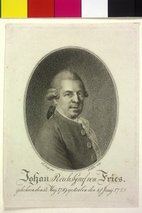 Johann graaf Fries