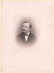 Karl von Stellwag-Carion door Artist Unknown