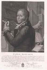 Paolo Mascagni door Artist Unknown