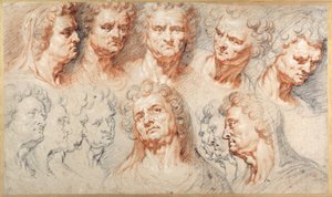 Hoofdstudies