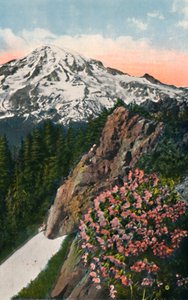 De sleutelbloem op Mount Rainier, ca. 1916