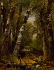 Bos Glen