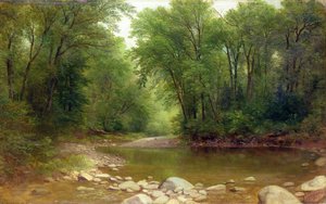 Een Catskill Stroom door Asher Brown Durand