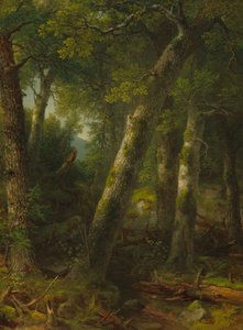Bos in het ochtendlicht door Asher Brown Durand