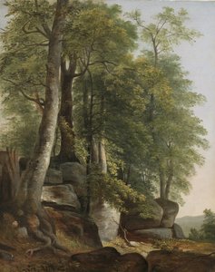Landschap met rotsen en bomen