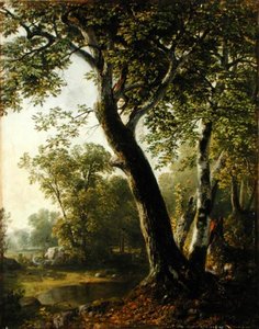 Studie in Marbletown, Ulster County, New York, c.1845 door Asher Brown Durand