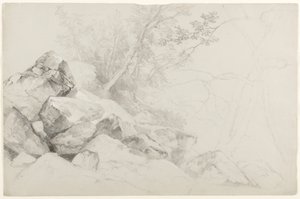 Studie van rotsen met bomen, Den Haag, Lake George, New York, 1862 (grafiet op grijs papier) door Asher Brown Durand