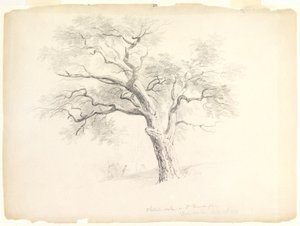 De kastanje-eik op het Hosack-landgoed, Hyde Park, New York met vijf figuren en een kunstenaar die schetst, 1838 door Asher Brown Durand